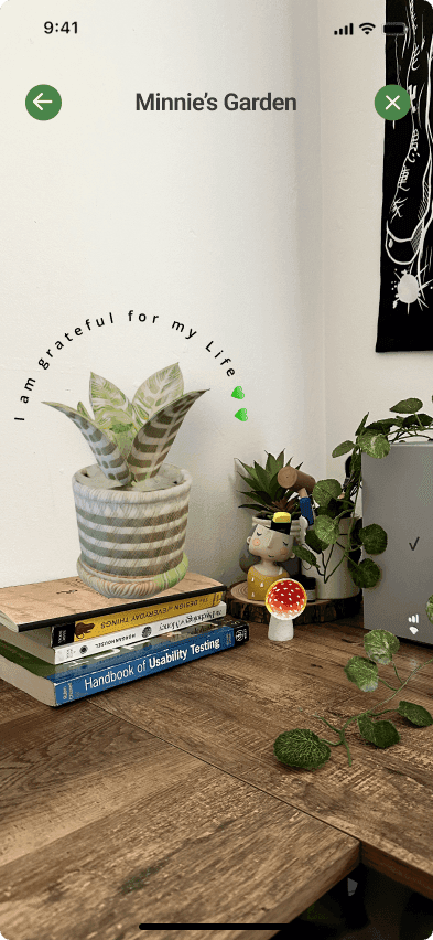 Bloom plant fully grown in AR