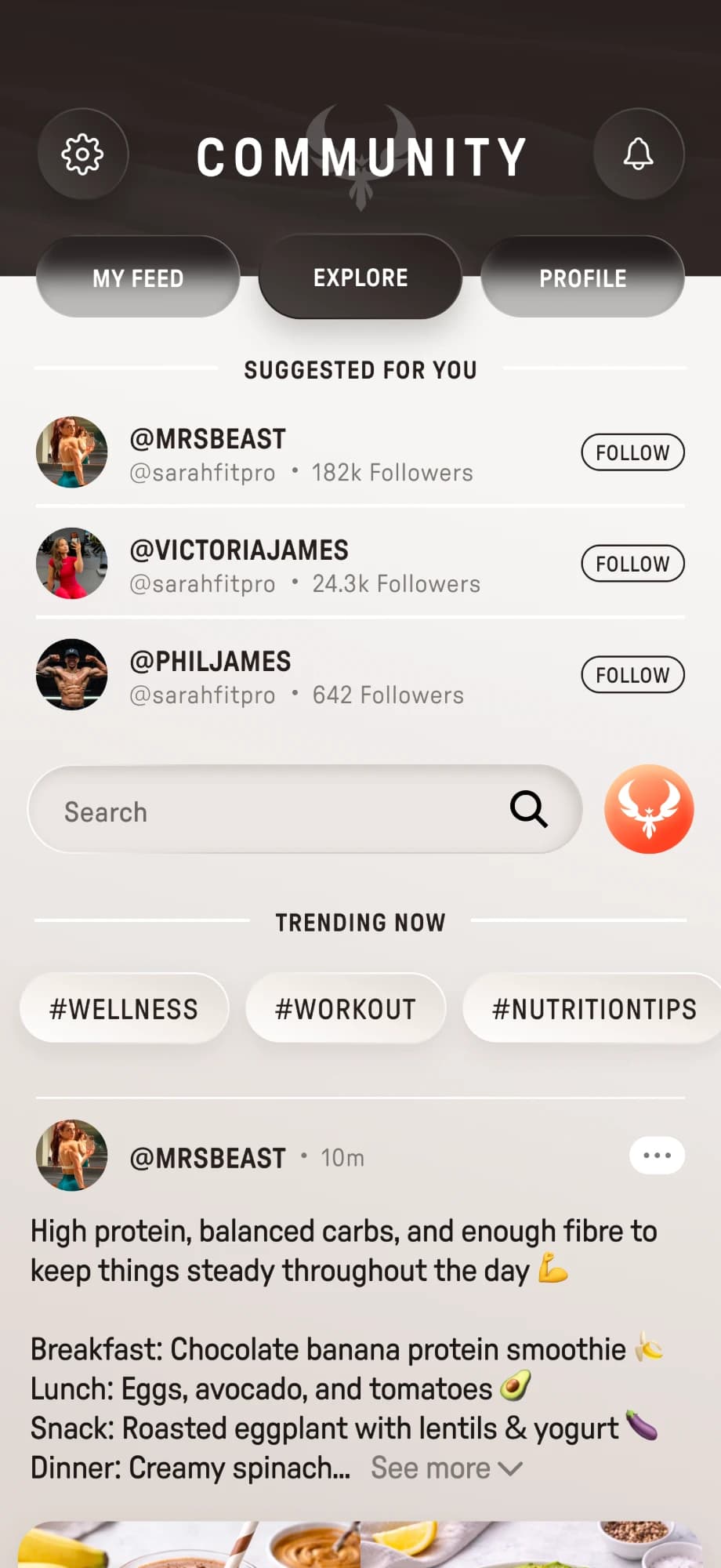Community Explore: suggested accounts to follow, a search bar, trending hashtags and a post sharing a day of meals